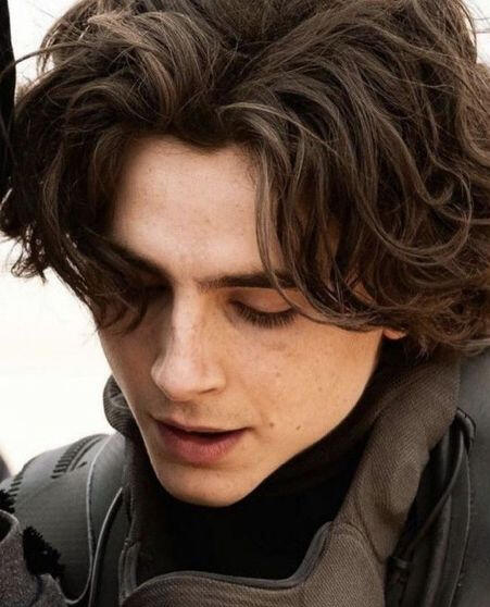 lonan merikh court of shadows spy